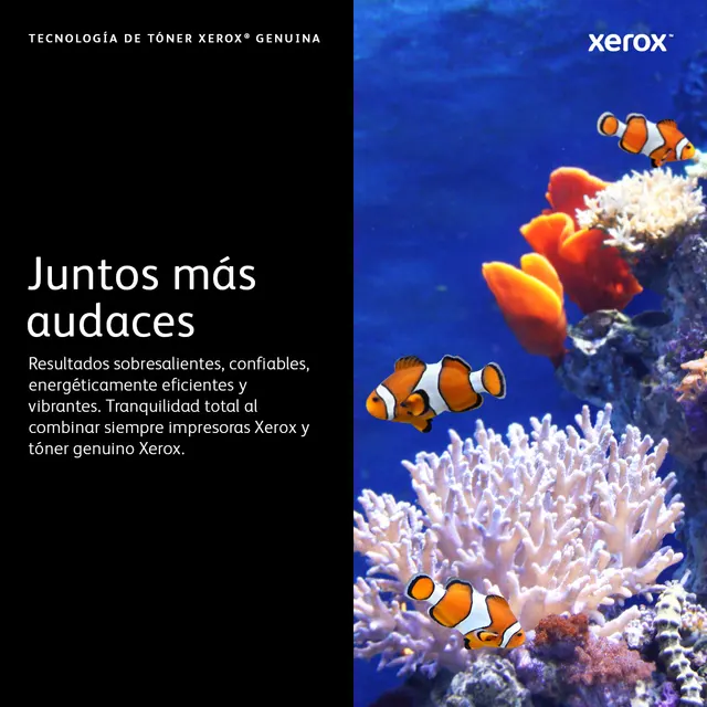 Tóner XEROX VersaLink C7020/7025/7030 — vista 11