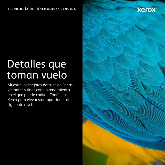 Tóner XEROX VersaLink C7020/7025/7030 — vista 3