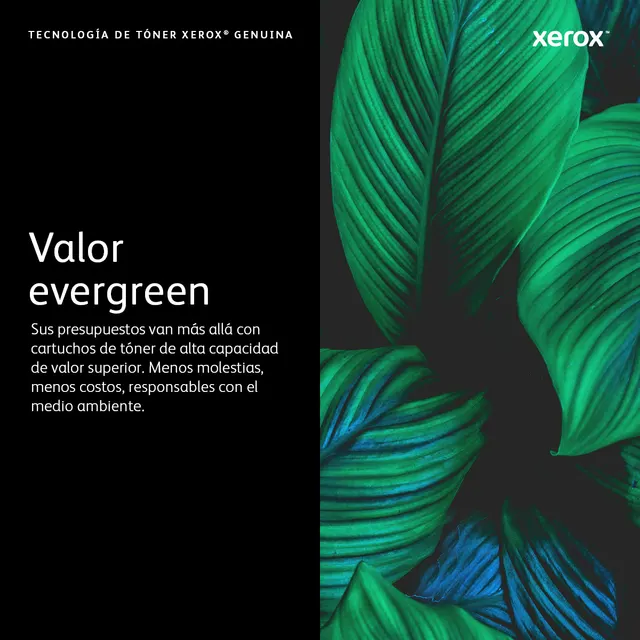 Tóner XEROX VersaLink C7020/7025/7030 — vista 6