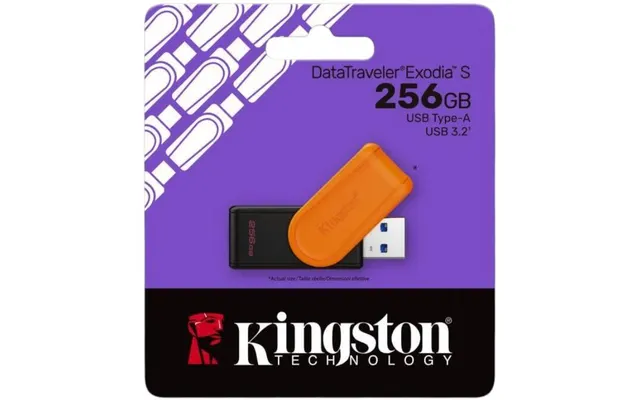 Memorias USB Kingston Technology DTXS/256GB