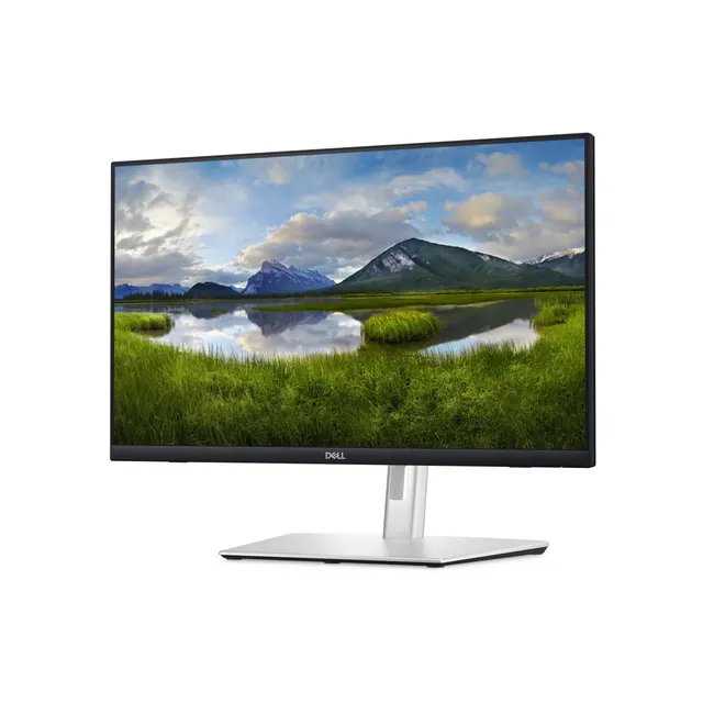 Monitor DELL P2424HT — vista 2