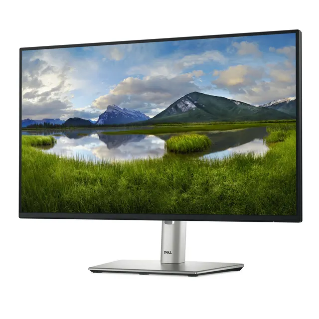 Monitor DELL P2425H — vista 2