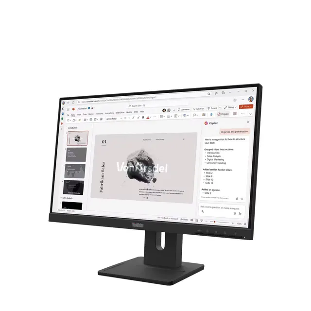 Monitores LENOVO ThinkVision E22-40 — vista 2