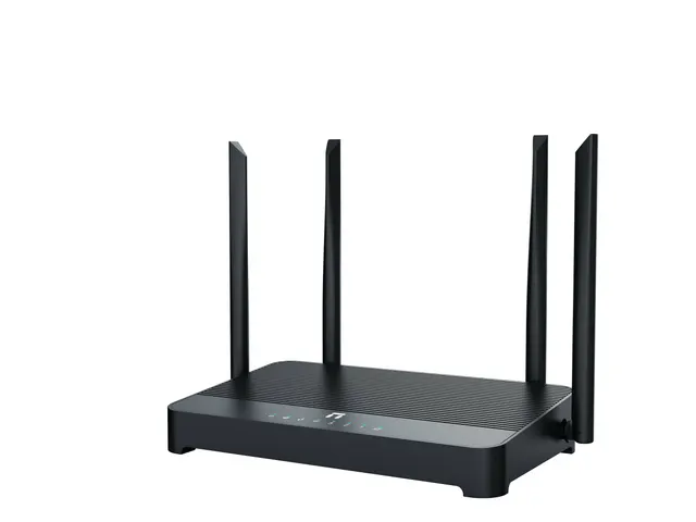 Routers NETIS NX31 — vista 3