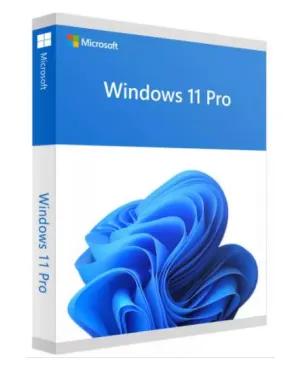 Windows 11 Profesional, Licencia OEM MICROSOFT FQC-10553 — vista 2