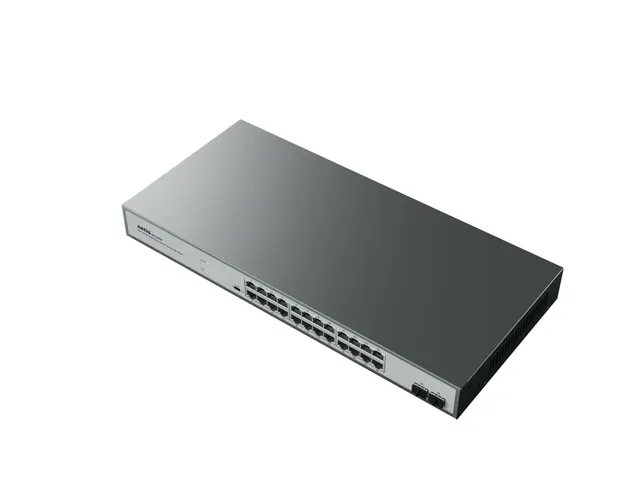 Switches NETIS ST3126GS — vista 2