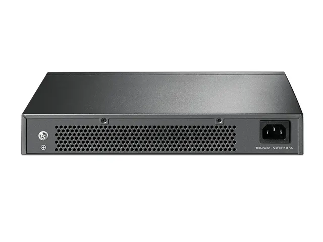 Switch TP-LINK TL-SG1024D — vista 3